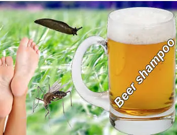 26 Uses Of Stale Beer To Try At Home When Your Beer Goes Off