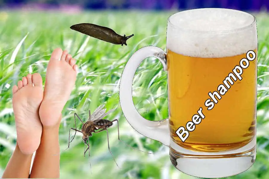 26 Uses Of Stale Beer To Try At Home When Your Beer Goes Off
