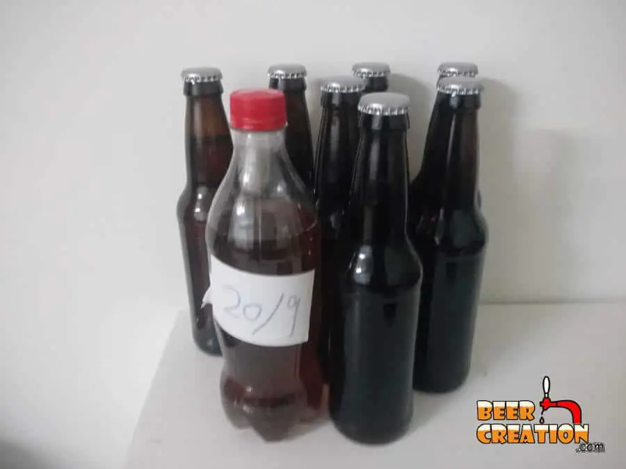 What bottles to choose for your homebrew beer?