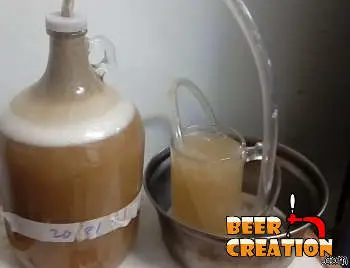 Krausen | Beer creation