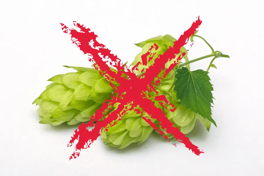 can you brew beer without hops